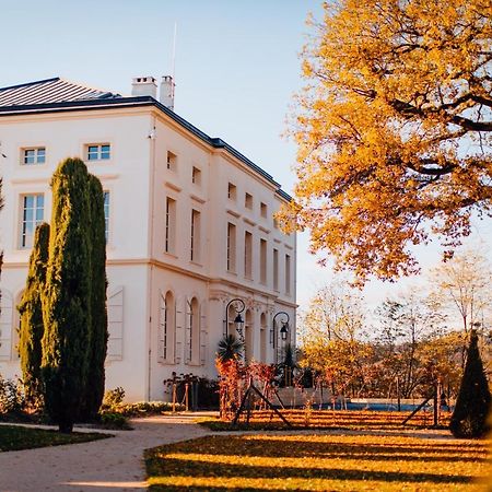 Chateau De Longpre Varilhes Buitenkant foto